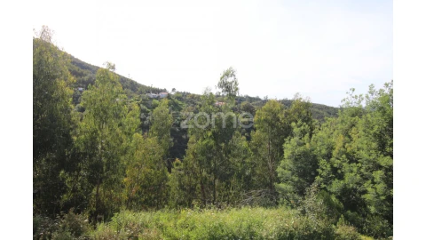 Terreno para Venda em Monchique