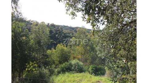 Terreno para Venda em Monchique