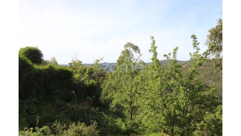 Terreno para Venda em Monchique