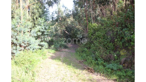 Terreno para Venda em Monchique