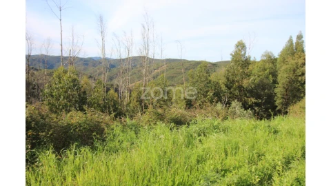 Terreno para Venda em Monchique