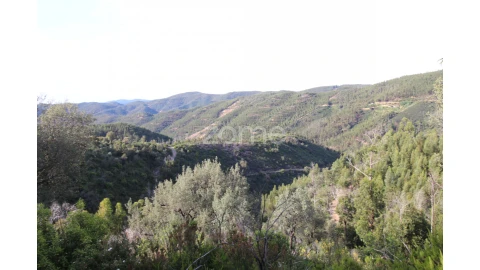Terreno para Venda em Monchique