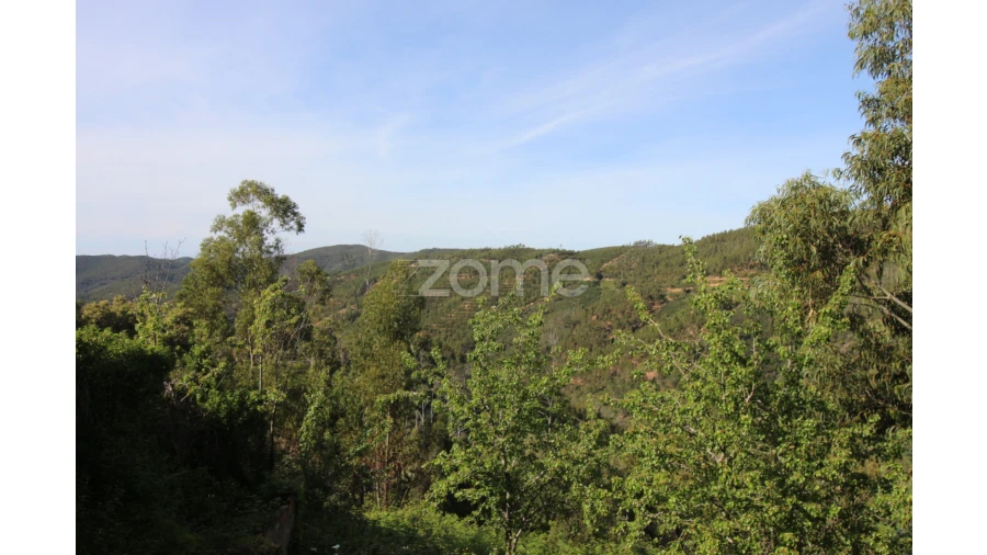 Terreno para Venda em Monchique Foto 9