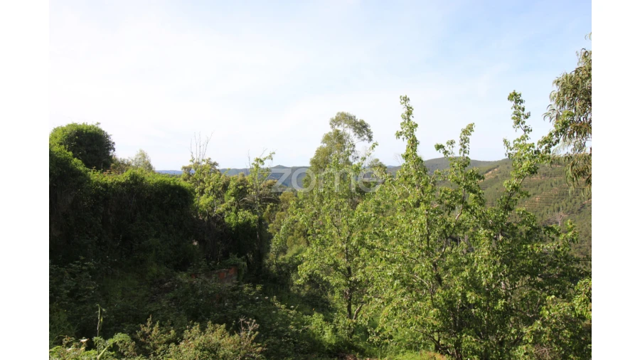 Terreno para Venda em Monchique Foto 10