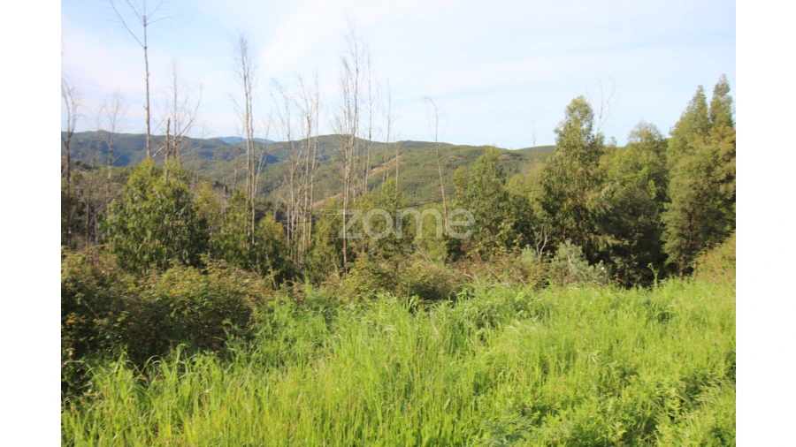 Terreno para Venda em Monchique Foto 18