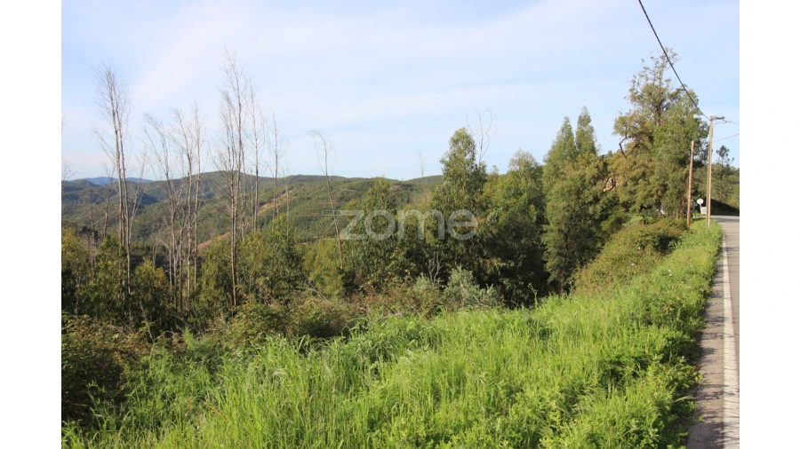 Terreno para Venda em Monchique Foto 21
