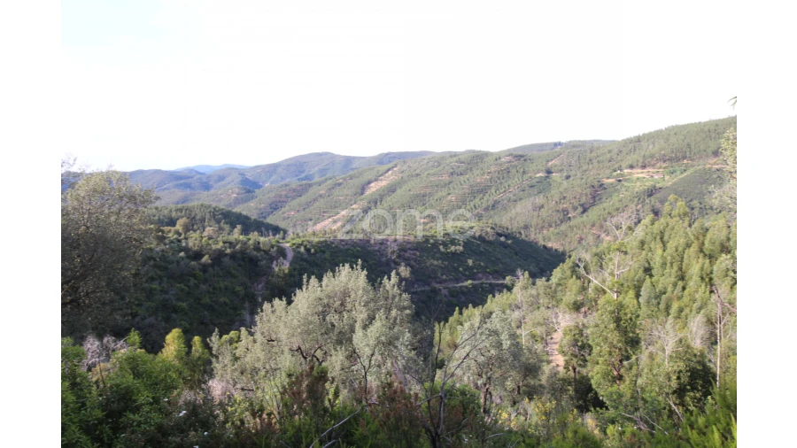 Terreno para Venda em Monchique Foto 3