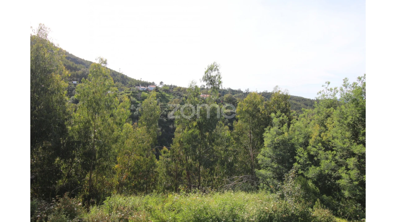 Terreno para Venda em Monchique Foto 2