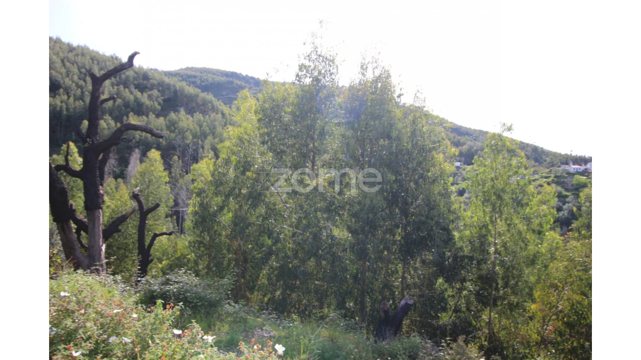 Terreno para Venda em Monchique Foto 5