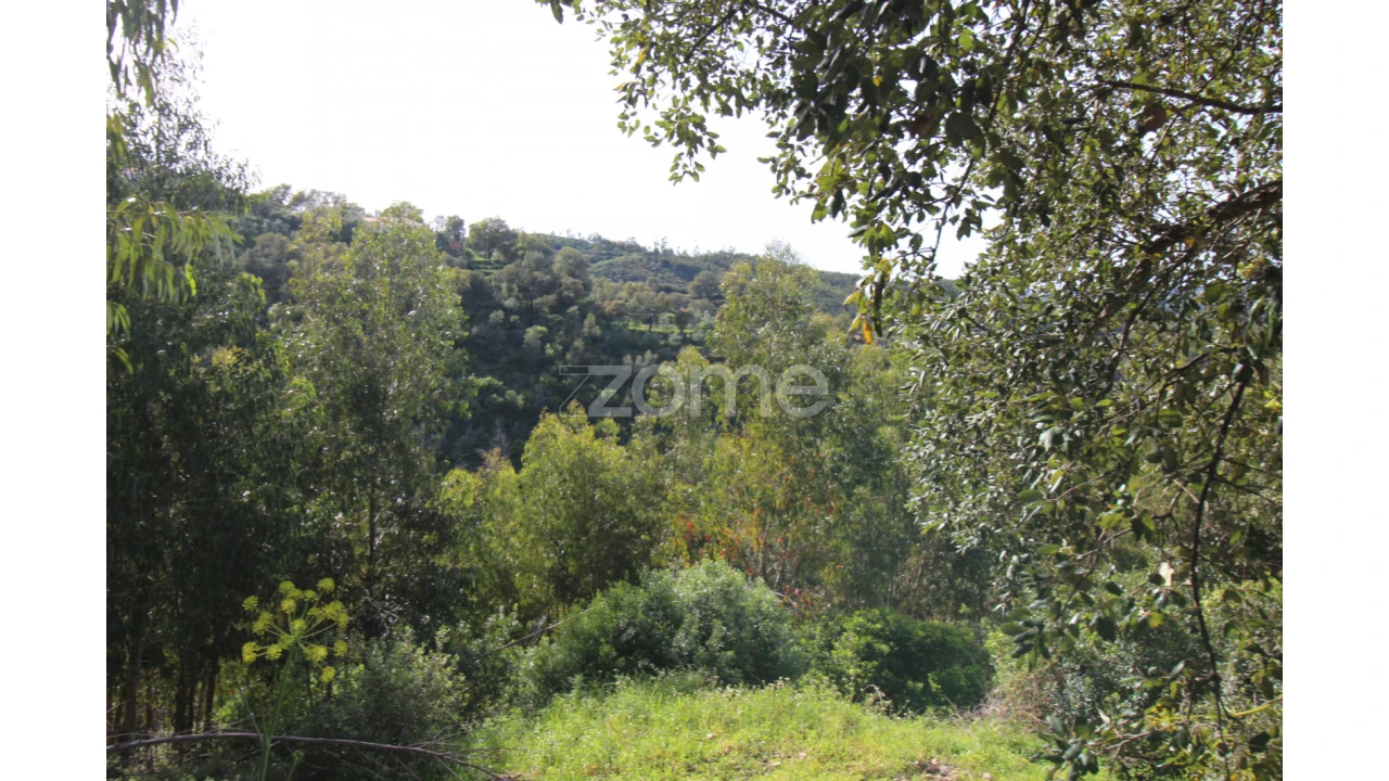 Terreno para Venda em Monchique Foto 12