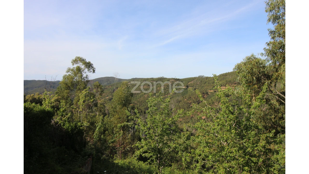 Terreno para Venda em Monchique Foto 9