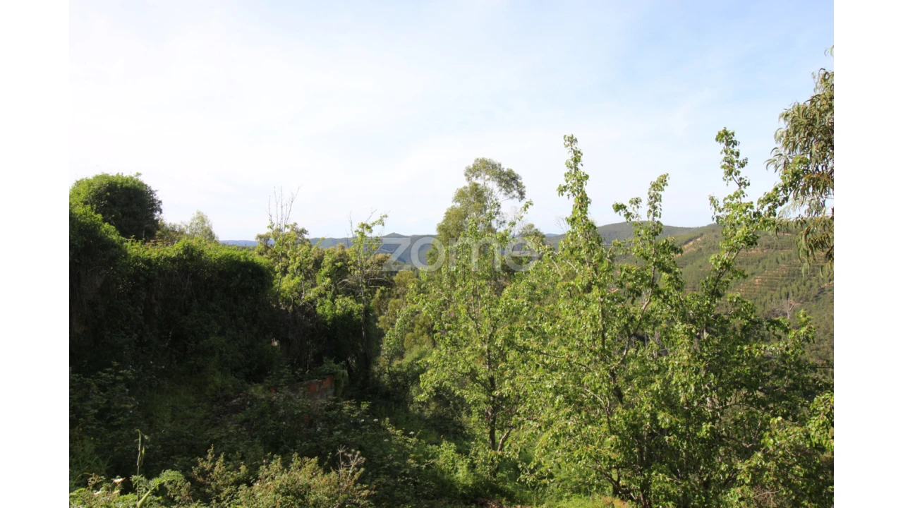Terreno para Venda em Monchique Foto 10