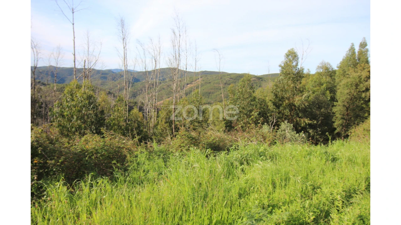 Terreno para Venda em Monchique Foto 18