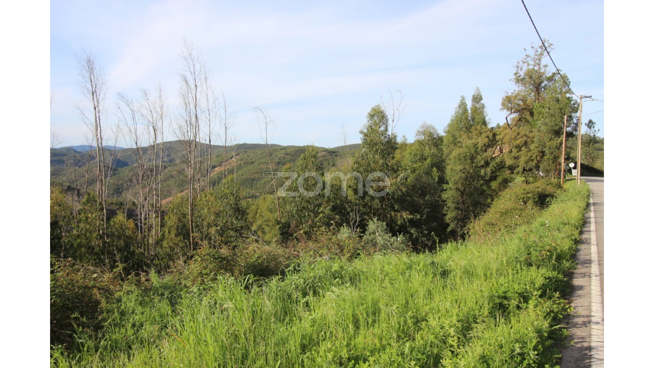 Terreno para Venda em Monchique Foto 21