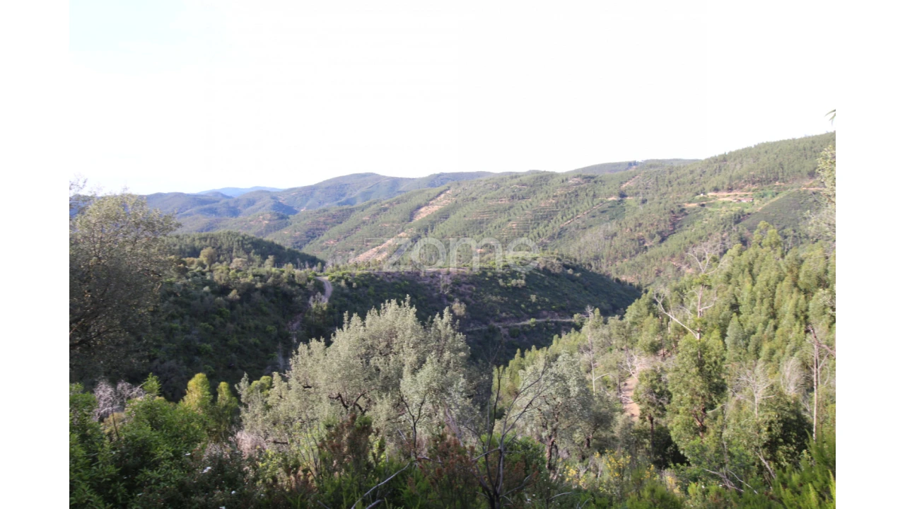 Terreno para Venda em Monchique Foto 3