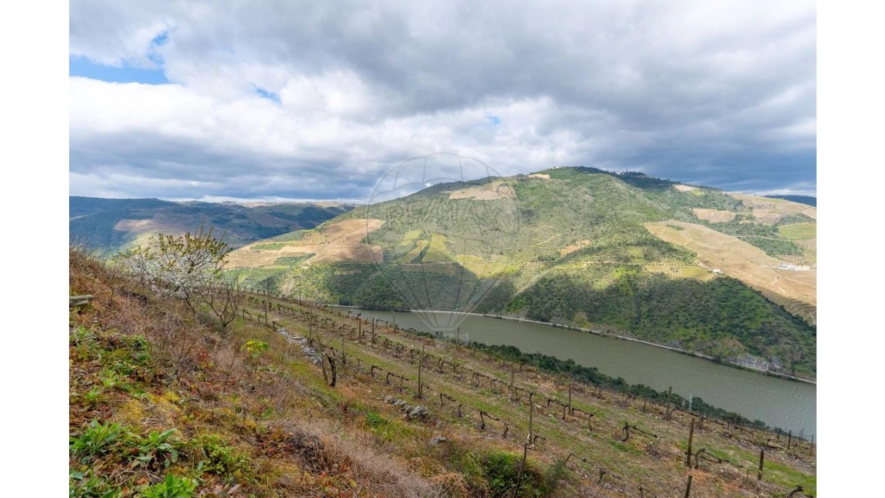 Terreno para Venda em Vila Seca e Santo Adrião Foto 12