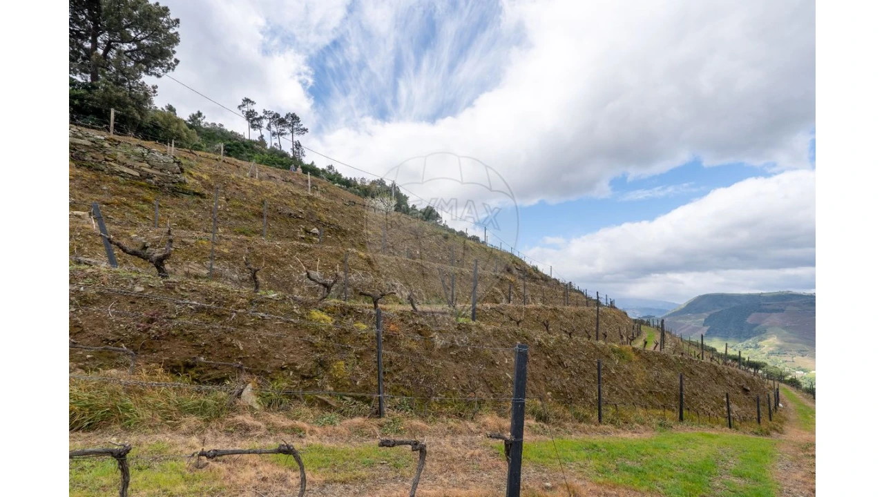 Terreno para Venda em Vila Seca e Santo Adrião Foto 18