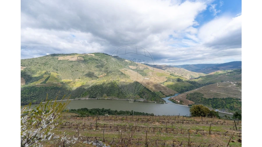 Terreno para Venda em Vila Seca e Santo Adrião Foto 7