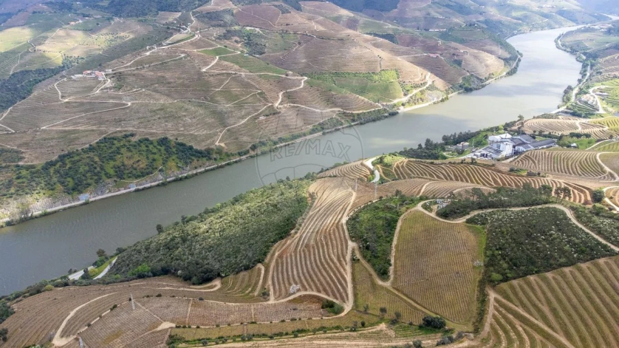 Terreno para Venda em Vila Seca e Santo Adrião Foto 1