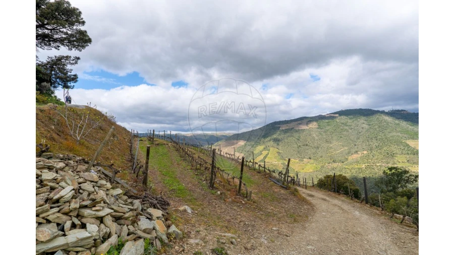 Terreno para Venda em Vila Seca e Santo Adrião Foto 13
