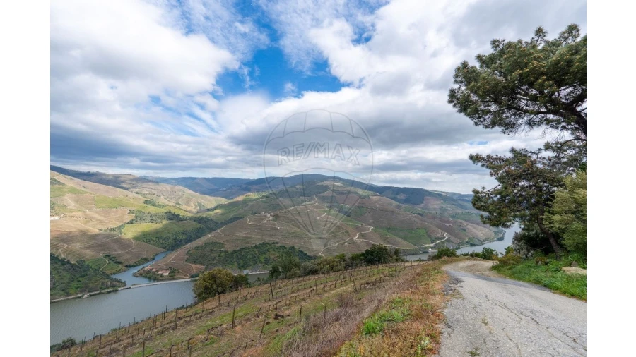 Terreno para Venda em Vila Seca e Santo Adrião Foto 5