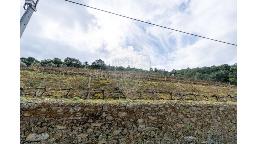 Terreno para Venda em Vila Seca e Santo Adrião Foto 11