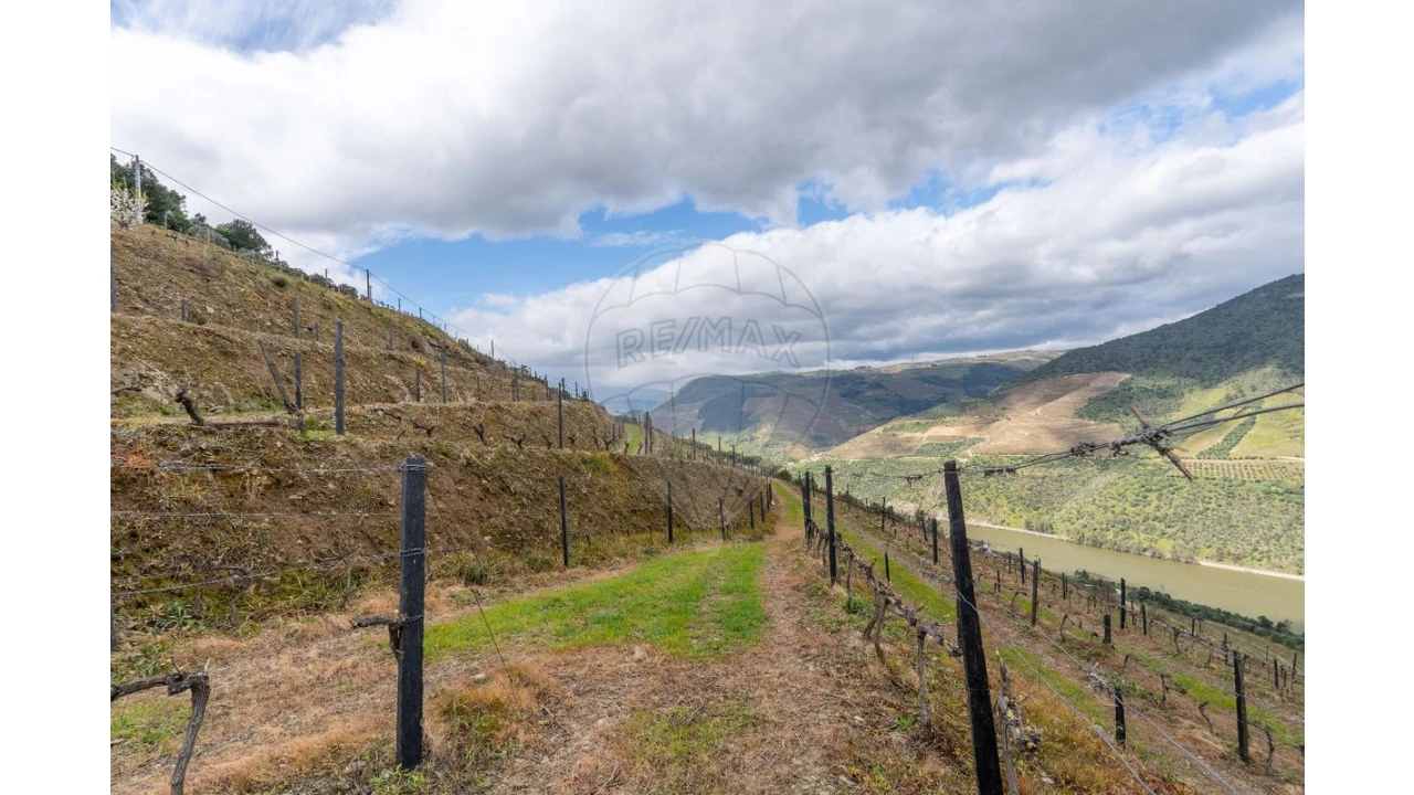Terreno para Venda em Vila Seca e Santo Adrião Foto 15