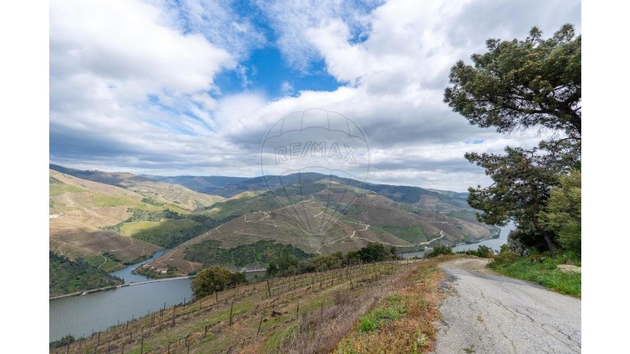 Terreno para Venda em Vila Seca e Santo Adrião Foto 5