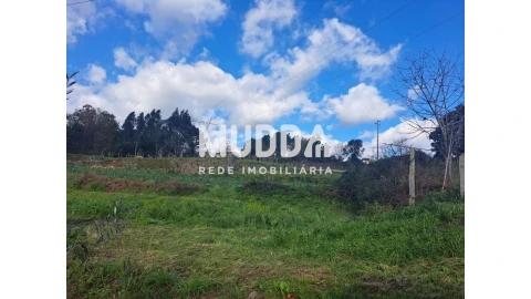 Terreno para Venda em O. Azeméis, Riba-Ul, Ul, Macinhata Seixa, Madail