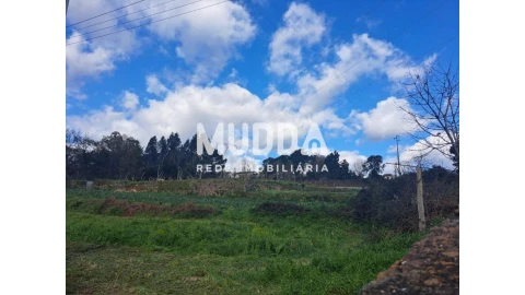 Terreno para Venda em O. Azeméis, Riba-Ul, Ul, Macinhata Seixa, Madail