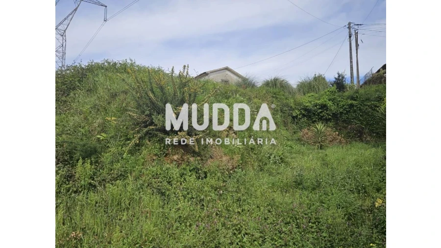 Terreno para Venda em O. Azeméis, Riba-Ul, Ul, Macinhata Seixa, Madail Foto 15