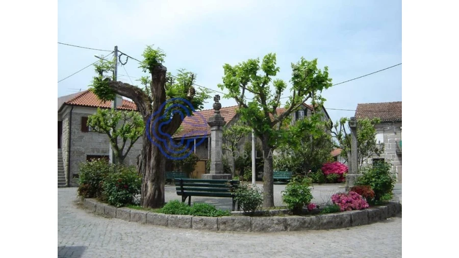 Terreno para Venda em Beijos Foto 6