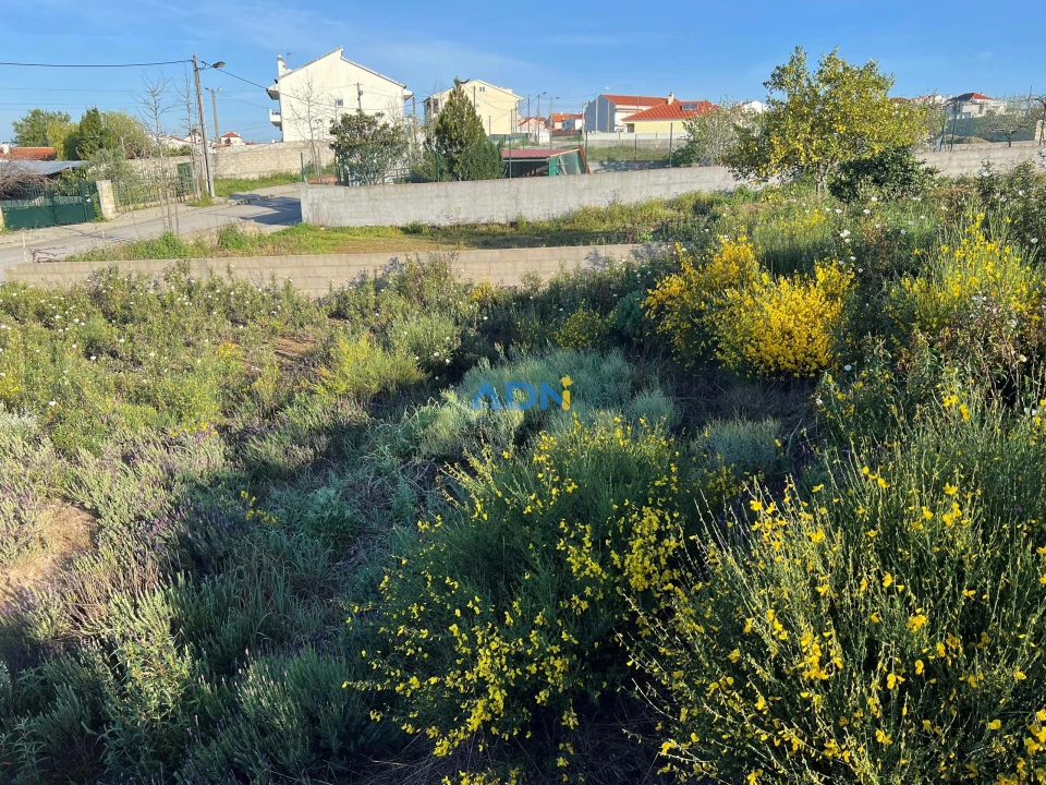 Terreno para Venda em Castelo Branco Foto 11
