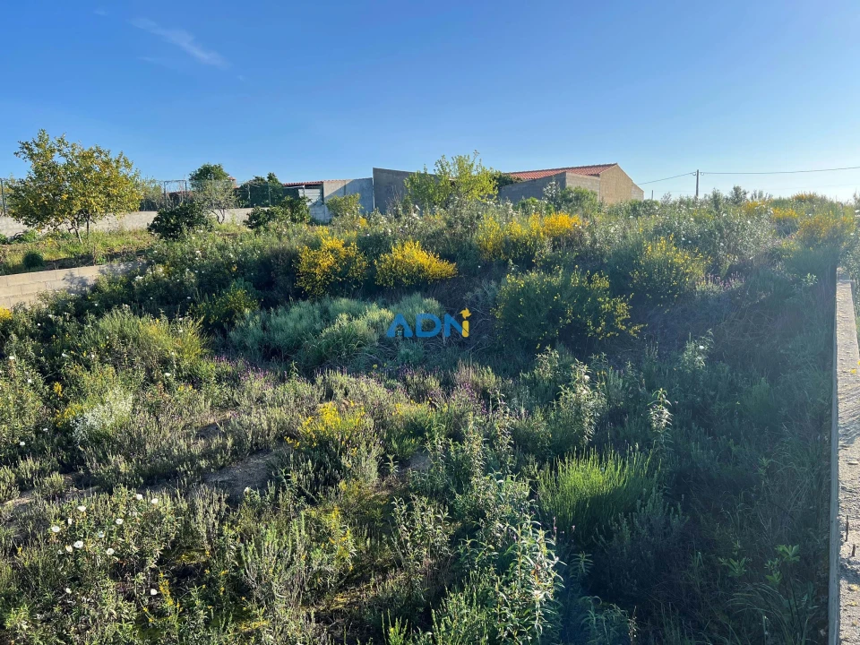 Terreno para Venda em Castelo Branco Foto 9