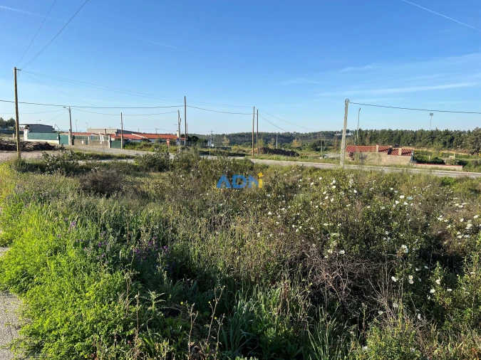 Terreno para Venda em Castelo Branco Foto 2