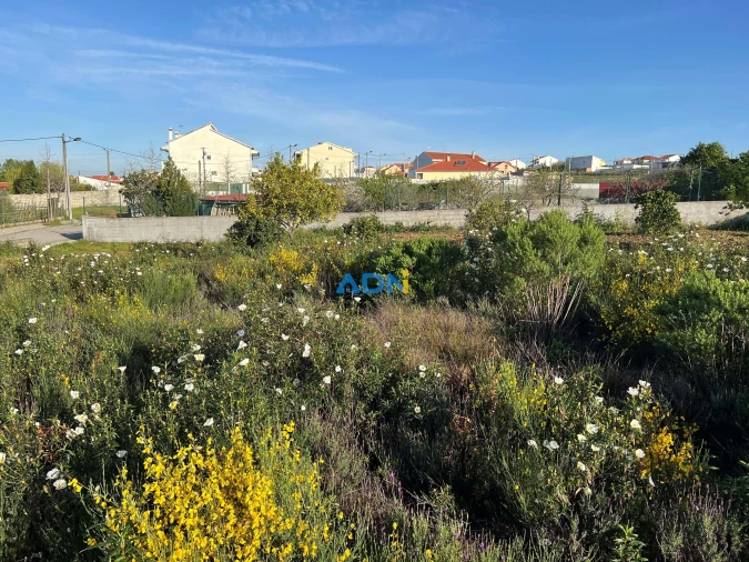 Terreno para Venda em Castelo Branco Foto 13
