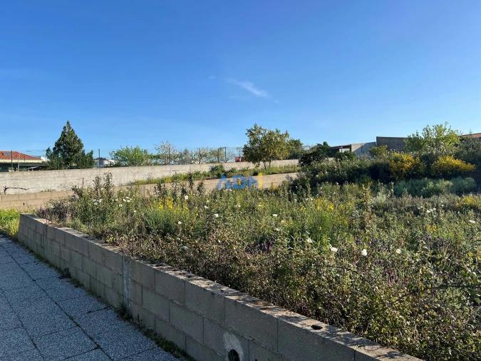 Terreno para Venda em Castelo Branco Foto 6