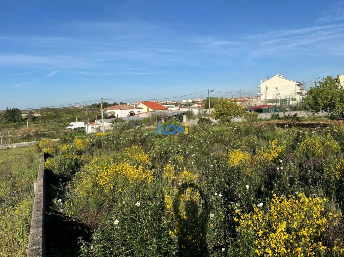 Terreno para Venda em Castelo Branco Foto 16