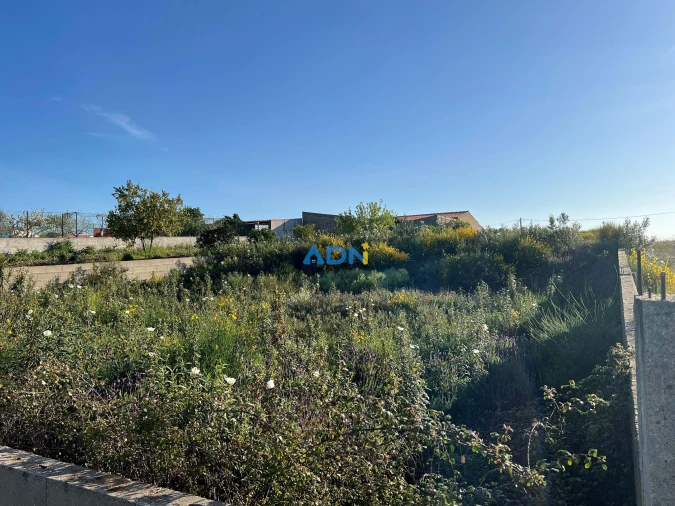 Terreno para Venda em Castelo Branco Foto 7