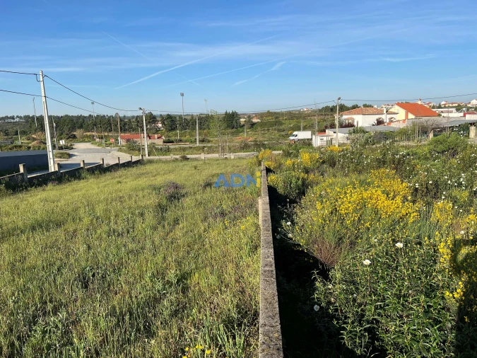 Terreno para Venda em Castelo Branco Foto 17