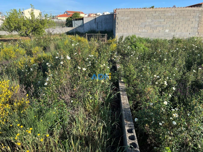 Terreno para Venda em Castelo Branco Foto 14