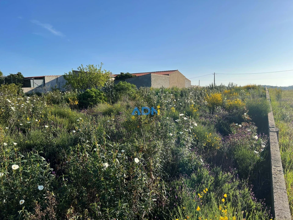 Terreno para Venda em Castelo Branco Foto 10