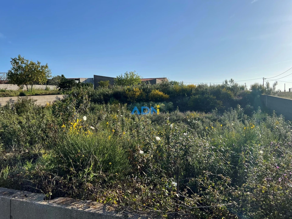 Terreno para Venda em Castelo Branco Foto 4