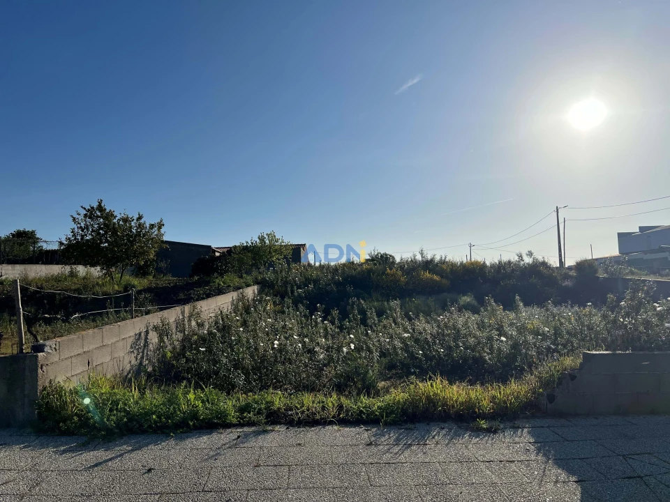 Terreno para Venda em Castelo Branco Foto 3