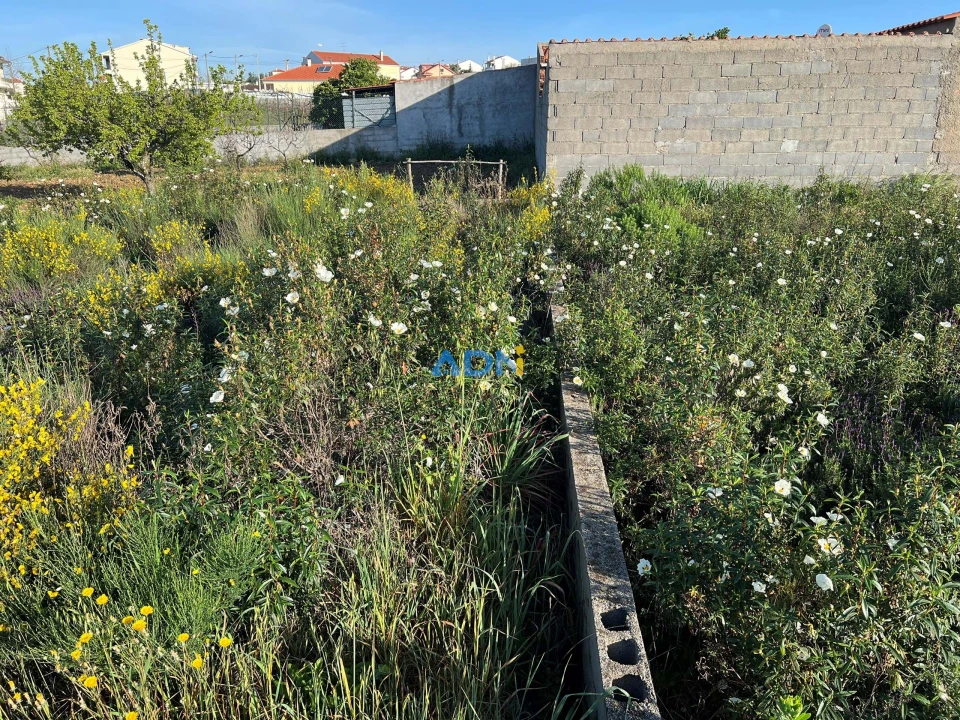 Terreno para Venda em Castelo Branco Foto 14