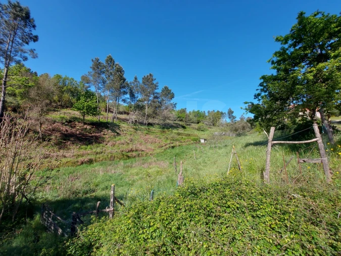 Terreno para Venda em Côja e Barril de Alva Foto 5