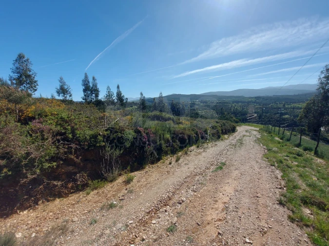 Terreno para Venda em Côja e Barril de Alva Foto 11