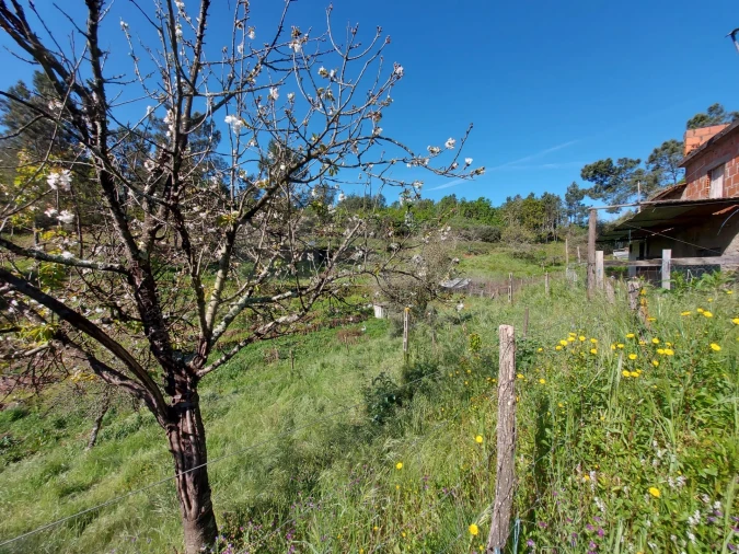 Terreno para Venda em Côja e Barril de Alva