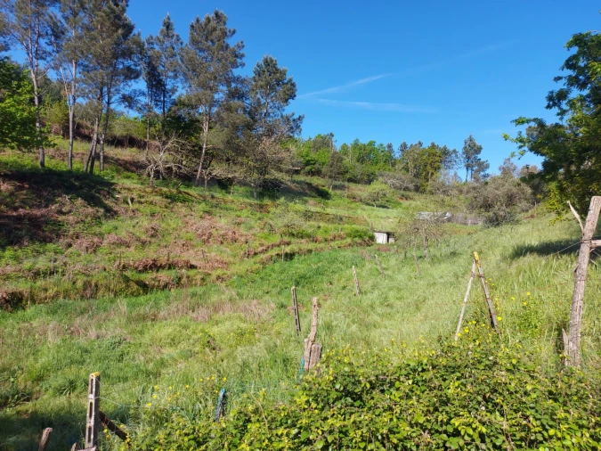 Terreno para Venda em Côja e Barril de Alva Foto 2