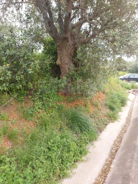 Terreno para Venda em Vialonga